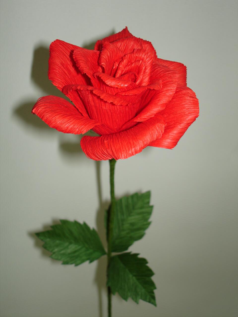 http://www.twinkleflowers.com/redrose1.jpg